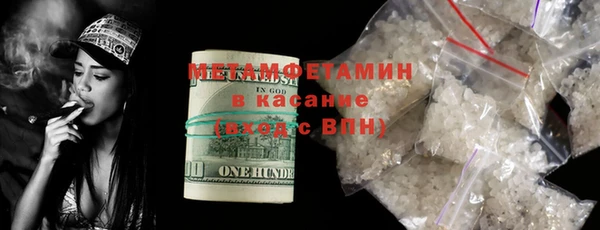 прущие грибы Иннополис