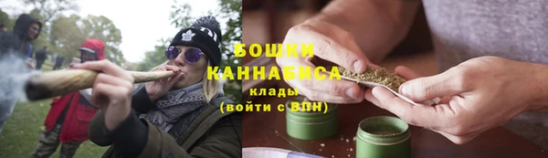 прущие грибы Иннополис