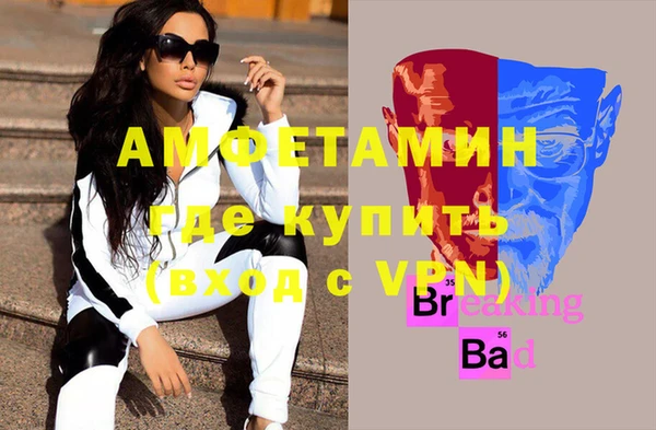 прущие грибы Иннополис