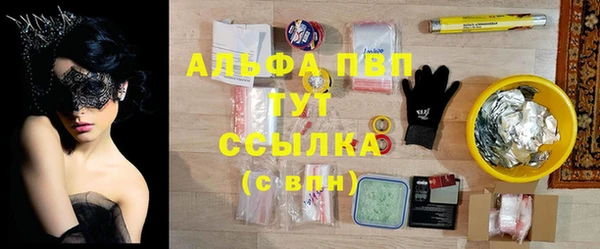 стаф Инсар