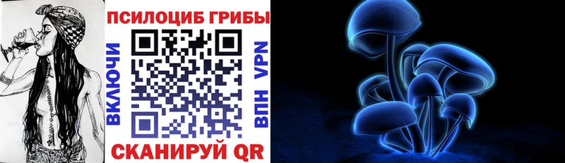 Псилоцибиновые грибы мицелий  Купить  Спасск-Дальний 